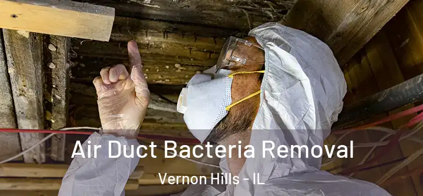 Air Duct Bacteria Removal Vernon Hills - IL