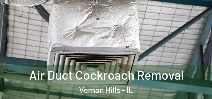 Air Duct Cockroach Removal Vernon Hills - IL