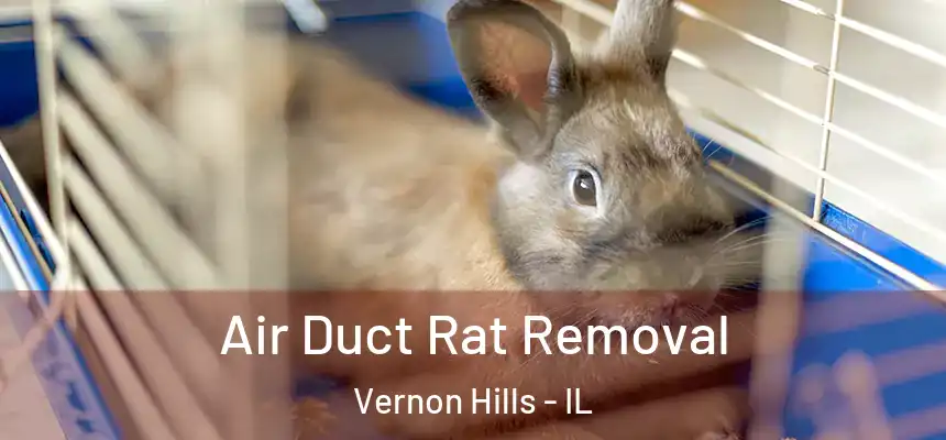 Air Duct Rat Removal Vernon Hills - IL