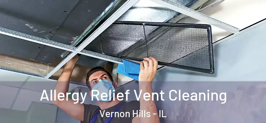  Allergy Relief Vent Cleaning Vernon Hills - IL