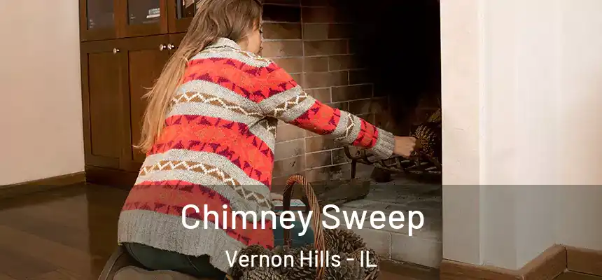 Chimney Sweep Vernon Hills - IL