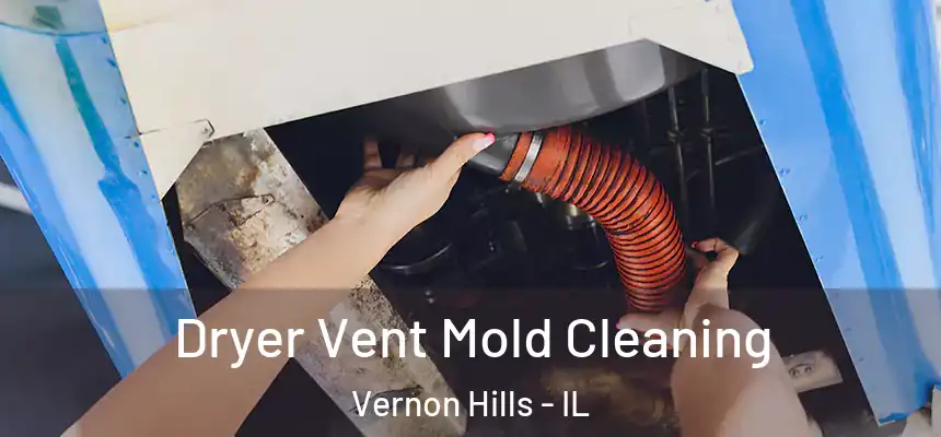  Dryer Vent Mold Cleaning Vernon Hills - IL