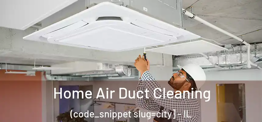 Home Air Duct Cleaning (code_snippet slug=city] - IL
