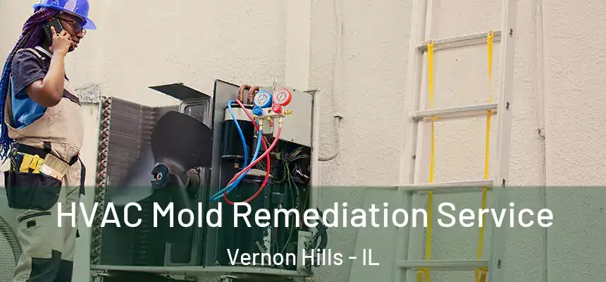 HVAC Mold Remediation Service Vernon Hills - IL
