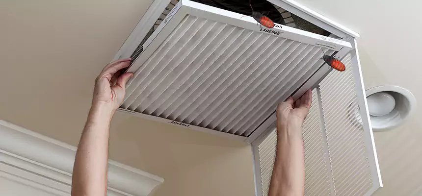 Our Insect Removal from Air Ducts Services in Vernon Hills, IL