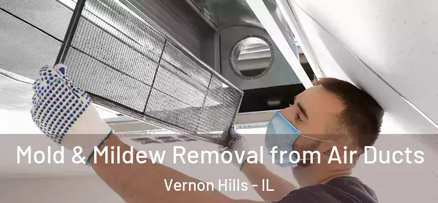 Mold & Mildew Removal from Air Ducts Vernon Hills - IL