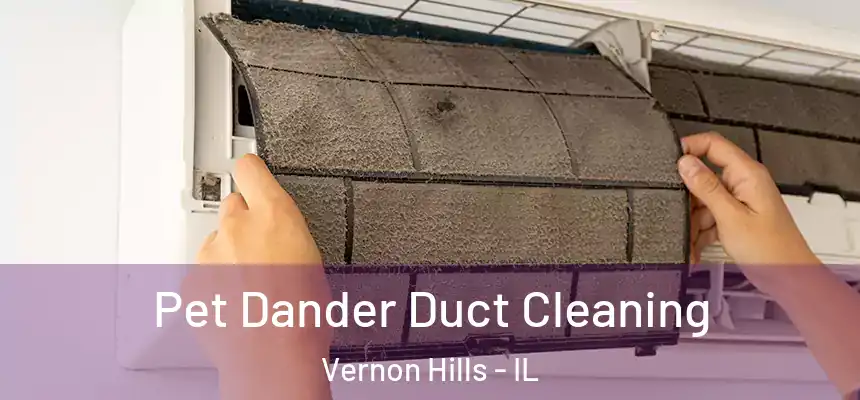 Pet Dander Duct Cleaning Vernon Hills - IL