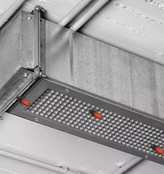Affordable Insect Removal from Air Ducts in Vernon Hills, IL