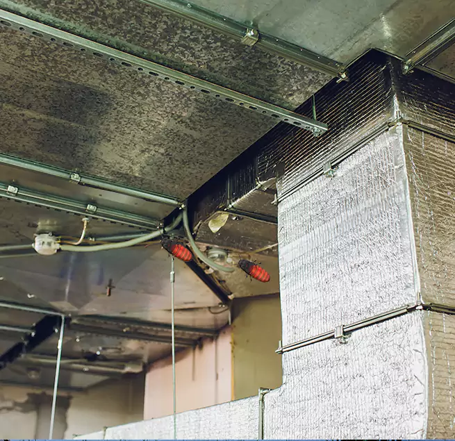 Why Homeowners & Businesses Trust Us in Vernon Hills, IL?