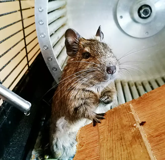 Why Homeowners & Businesses Trust Us Vernon Hills, IL